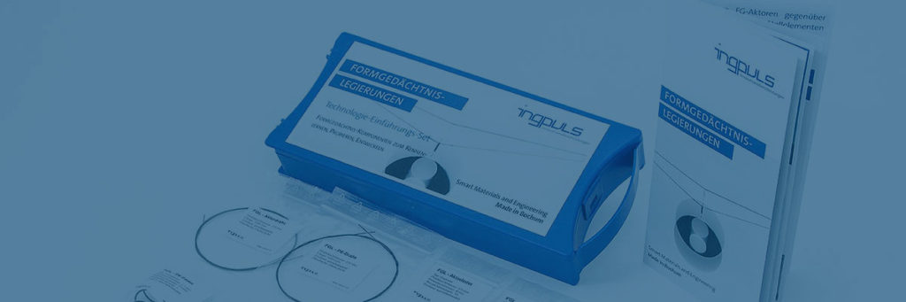 ingpuls-gmbh-bochum